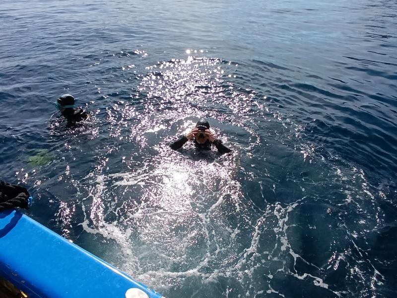IMG-20240513-WA0067