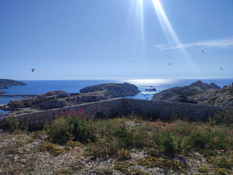 IMG-20240513-WA0092