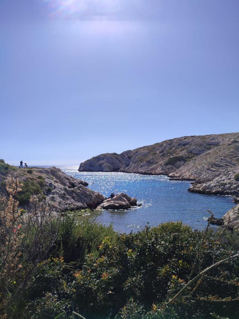 IMG-20240513-WA0114