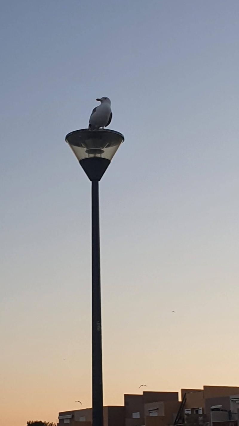 IMG-20240513-WA0139