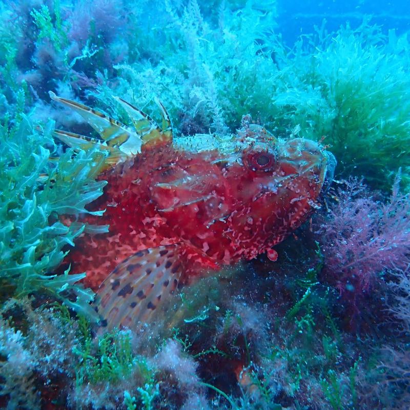 IMG-20240513-WA0179
