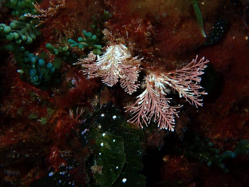 IMG-20240513-WA0184