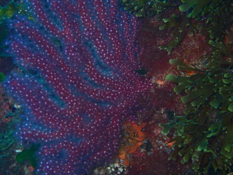 IMG-20240513-WA0197
