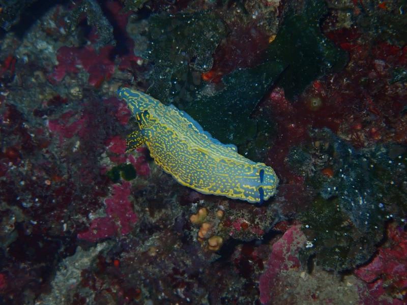 IMG-20240513-WA0199