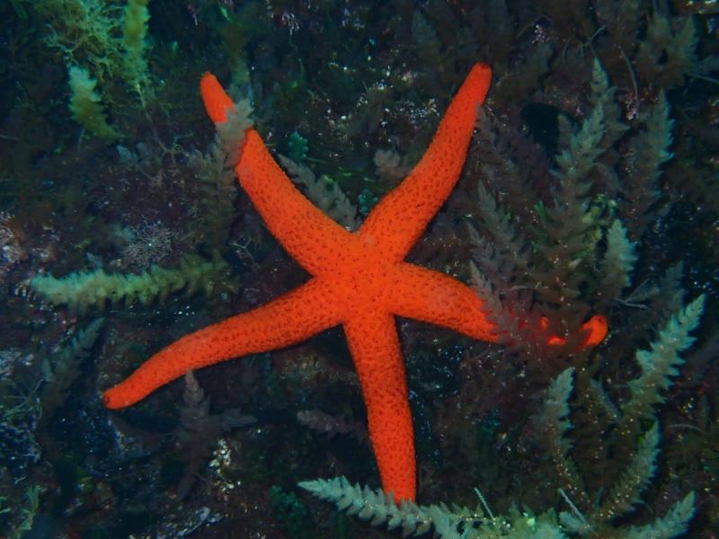 IMG-20240513-WA0204