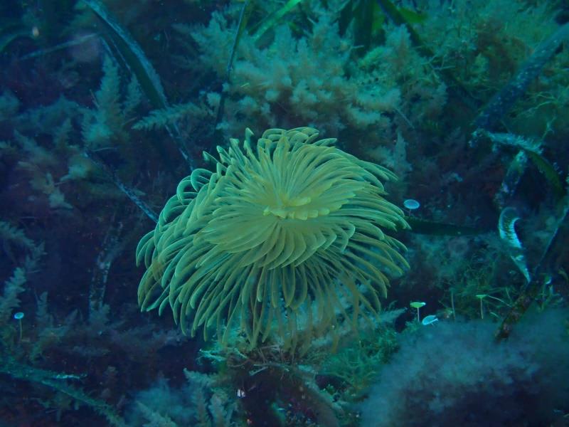 IMG-20240513-WA0206